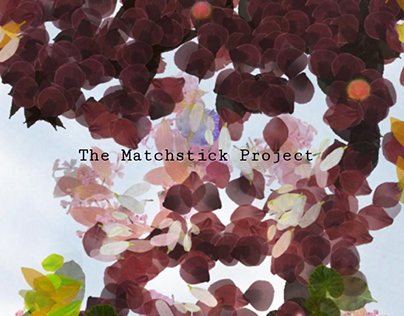 The Matchstick project