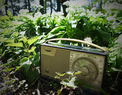 Nature radio