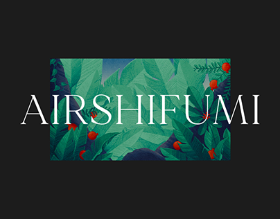 Airshifumi — Experience