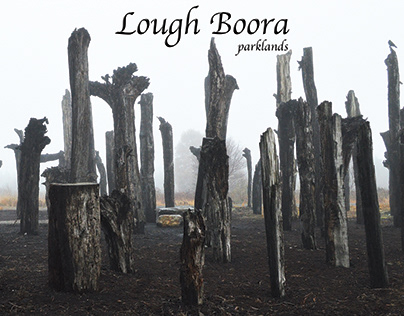 Lough Boora brochure