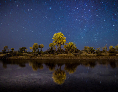 Omani Landscapes
