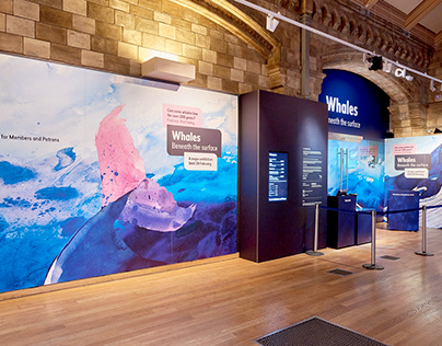 Whales Exhibition - Entrance Design