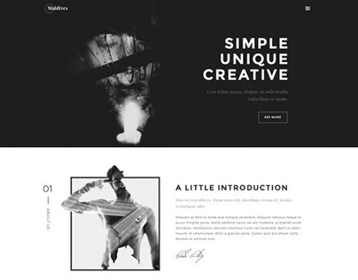 Looking for portfolio HTML template?