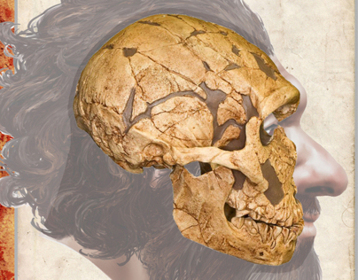 Homo neanderthalensis - La Ferrassie 1 (Book Project)
