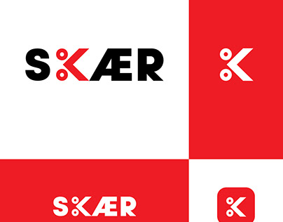 Logo SKAER