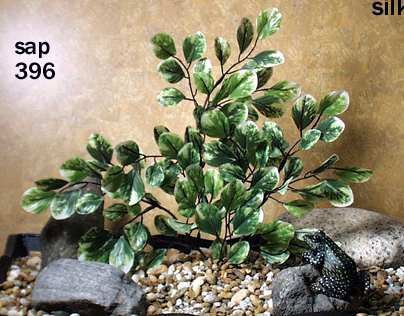 jade spray silk 1012 reptile plant ron beck designs