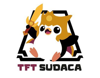 Logo para "TFT SUDACA"