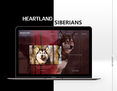 Heartland of Siberian Husky Website Redesign