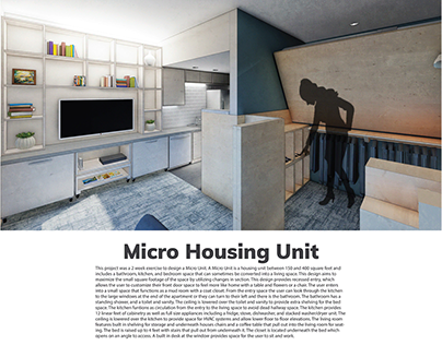 Micro Housing Unit