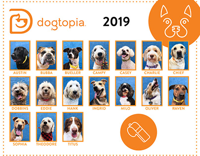 Dogtopia Back to School Photo Collages 2017-2019