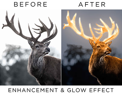 Deer Image Enhancement and Glow Effect