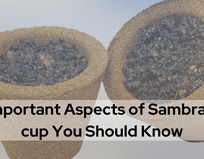 Sambrani cup You Should Know