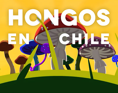 Hongos en Chile | Animation and Motion Graphic Video