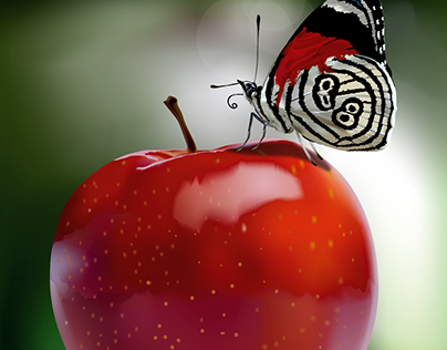 Apple and Butterfly