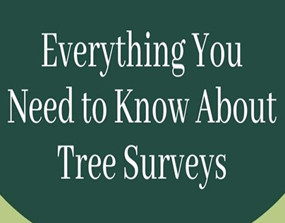 Everything You Need to Know About Tree Surveys