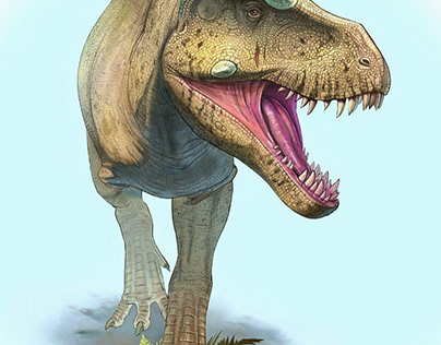 Tyrannosaurus mcraensis