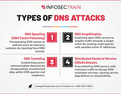 Project thumbnail - Types of DNS Attacks