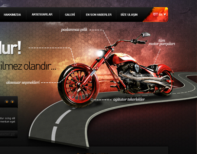 motomax web design