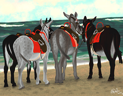 Donkeys on the beach