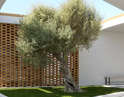 Olive trees house - Exteriors
