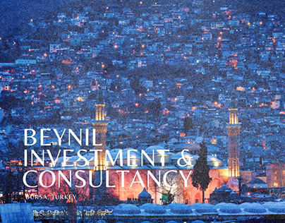 BEYNIL INVESTMENT & CONSULTANCY