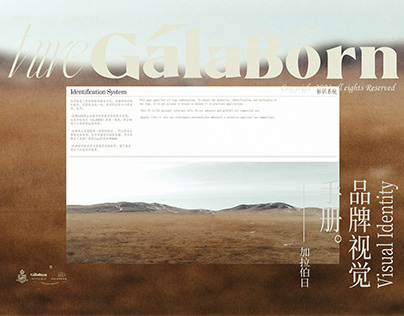 3.英文规范 |GALABORN品牌识别手册