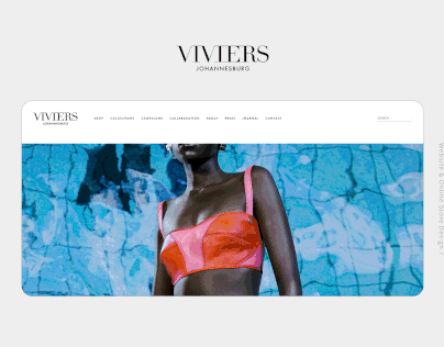 Viviers Johannesburg / Website & Store Design