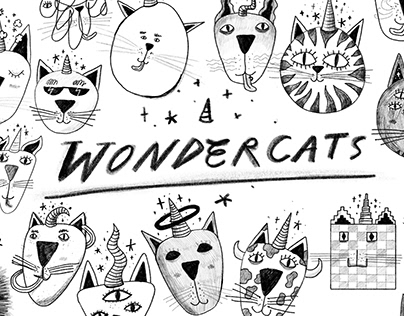Wondercats: A Big Magical Collab Project