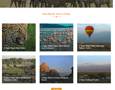 Jochi Africa Safaris (Safari Website)