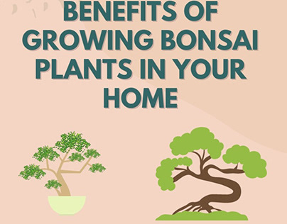 Benefits Of Growing Bonsai Plants In Your Home