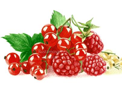 Watercolor berries