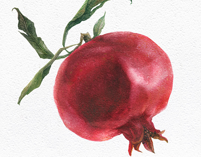 Botanical Watercolor. Orchard