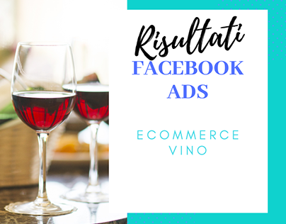 Facebook ADS Ecommerce Vino