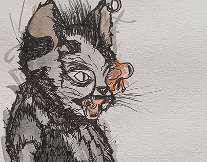 “O Gato Preto” - baseado no conto de Edgar Allan Poe