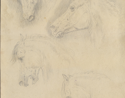 Sketches. Horse heads. 27 x 38 cm.