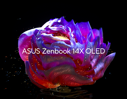 ASUS Zenbook 14X OLED A version of brilliance
