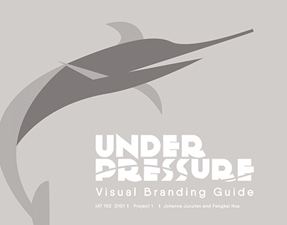 Visual Branding Guide + Applications - Graphic Design