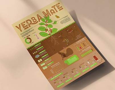 Product Infographic - Yerba Mate