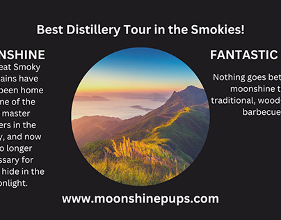 Best distillery tour in the Smokies!
