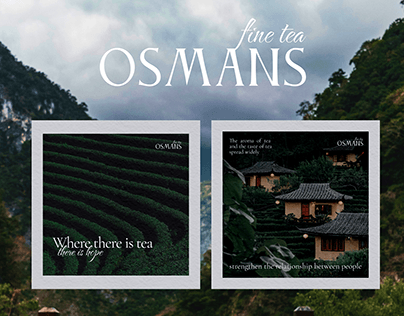 OSMANS tea| Фирменный стиль | brand identity | логотип