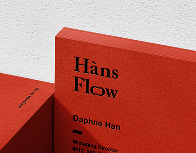 Hans Flow l Visual Identity System