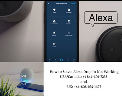 How to Solve: Alexa Drop In Not Working