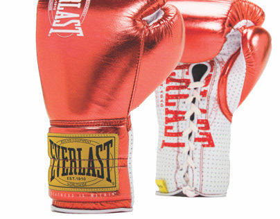 Everlast 190 professional boxing fight gloves