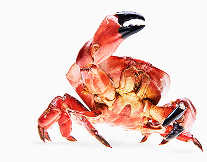 Crab "蟹"