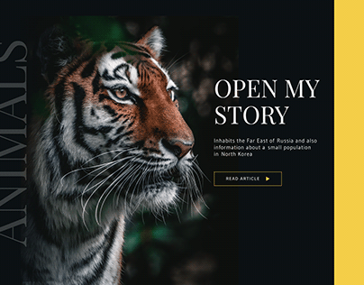 Дизайн блога о животных