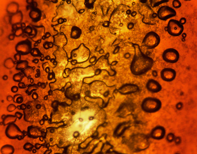 Microscopic Burned Film