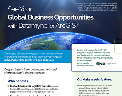 Global Business Opportunities