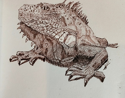 iguana con rotulador