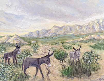 Wild burros and Cholla Cactus