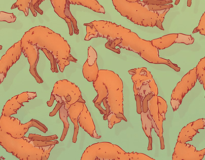 Fox Pattern